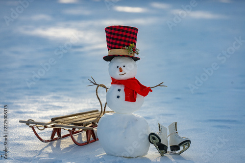 Cute snowman. Snowman in winter sunshine. Winter snowman holiday scene. Snow man standing in fresh snow. Snowman on snowy field.
