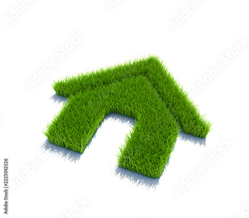 Grass House Roof Symbol. 3D Rendering
