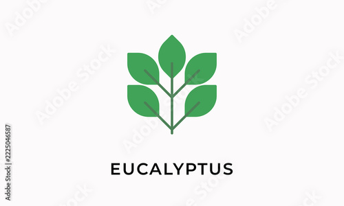 Eucalyptus Vector Icon Isolated On White Background        
