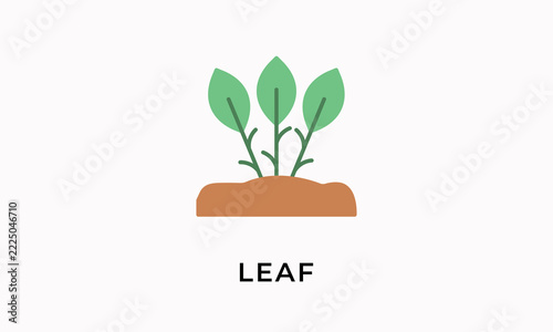 Leaf Vector Icon Isolated On White Background        
