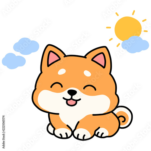 Cute happy Shiba Inu dog on a sunny day