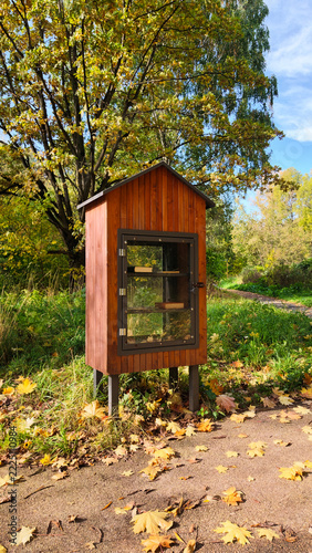 A small wooden library stands beside a walking path in a park. The library has a glass front and is surrounded by trees and fallen leaves. It is a sunny day in autumn.