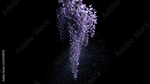 Particle Wisteria on Black Background