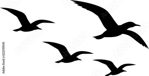 Flock of birds flying silhouette vector illustration