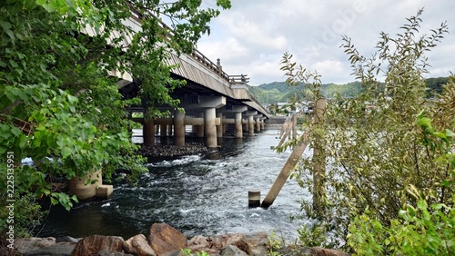 樹越しの宇治橋と宇治川の風景