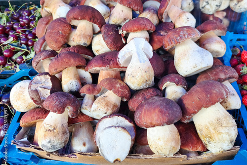 Many porcini mushrooms are laid out for sale at the market.