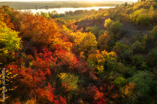 Wunderschöner Herbstwald mit bunten Laubblättern in einem Tal an einem See