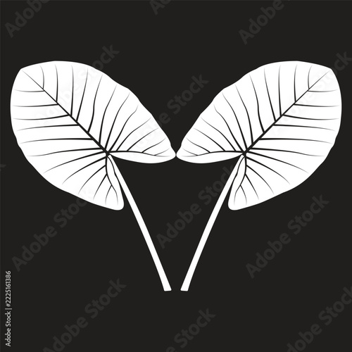 Black and white line art vector illustration of a taro plant leaf