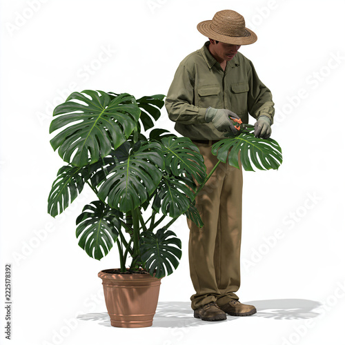 Realistic Southeast Asian Male Gardener Tending to a Plant