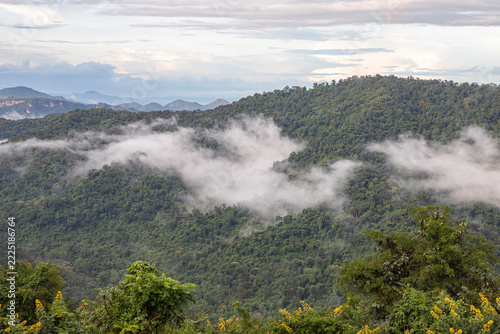 Lush green mountain range covered in low clouds.A scenic view of a tropical mountain range with thick white mist and clouds drifting over the dense jungle canopy in Thailand