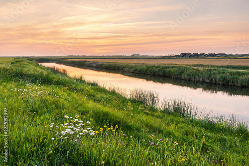 Peaceful rural landscape with wildflowers and a reflective water canal at sunset