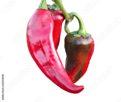 Fresh ripe red peppers isolated on white background
