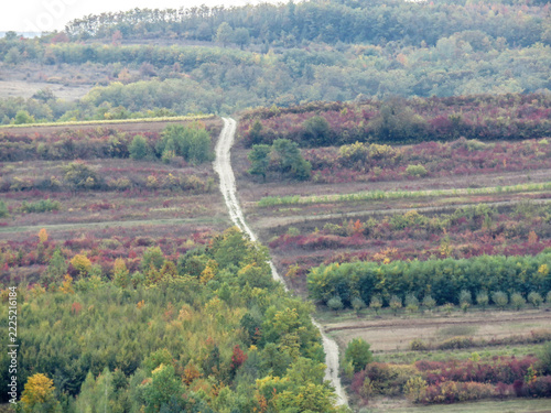 Colorful autumn countryside landscape with dirt road in Romania