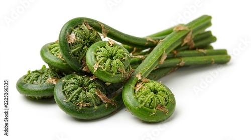 Fiddlehead ferns arranged in a neat bunch on a solid white surface.