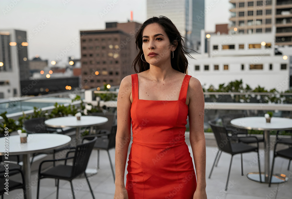Naklejka premium Urban lifestyle and evening leisure, woman in red dress standing on rooftop terrace with city skyline background during sunset for social event