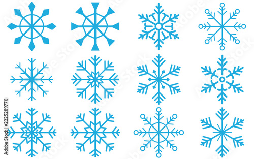 Winter Snowflake Illustration Set with Delicate Symmetrical Branches and Clean Decorative Line Art
