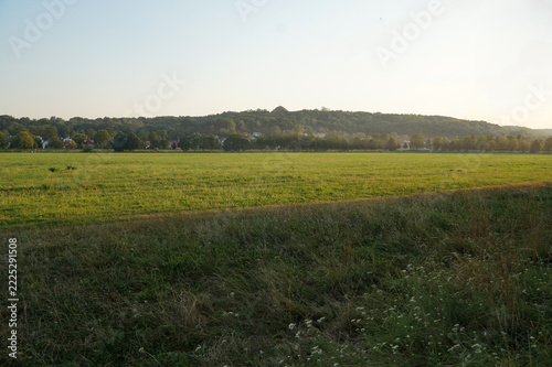 One of the large meadow areas in the Park Lotnikow Polskich in Krakow