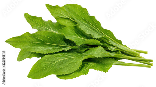 Fresh vibrant green leafy vegetables, possibly mustard greens or similar Asian greens, arranged neatly on a white background, ready for cooking or consumption.