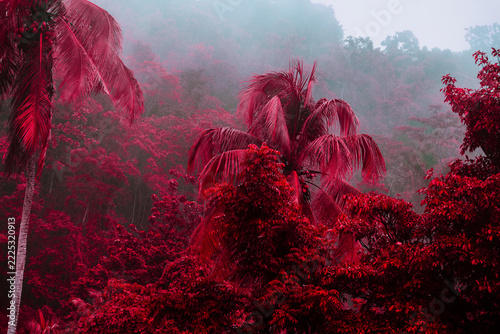 Misty tropical rainforest landscape with surreal red foliage and trees
