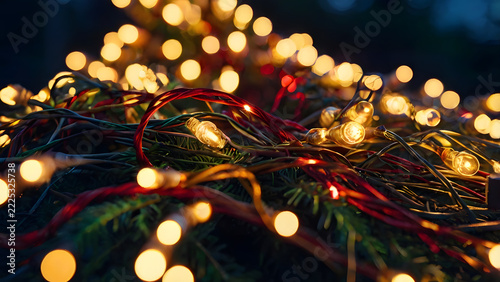 mas tree lights