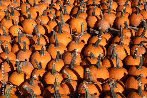 abstract background of orange pumpkins