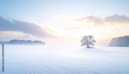 A winter landscape background composed in soft white tones, Generated image