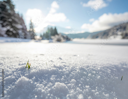 A winter landscape background composed in soft white tones, Generated image