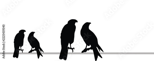 Black Crow Silhouettes Perched on a Wire Against White Background, Minimalist Bird Shadow Illustration