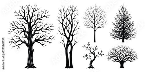 Bare trees vector silhouette set with leafless dead branch symbols isolated on white background