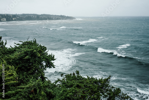Stormy Ocean Waves and Green Trees