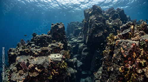 Sculptural Volcanic Rock Formations Beneath the Sea