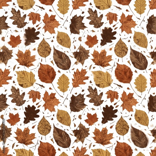 Autumn Leaves Seamless Pattern Background with Brown Maple and Oak Foliage, Vintage Watercolor Fall Leaf Pattern on White Isolated Background for Textile Print, Wrapping Paper, and Craft