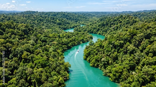 Aerial view of a turquoise river winding through dense lush green tropical rainforest