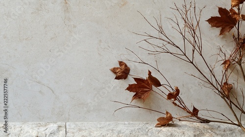 Dried Autumn Leaves Casting Long Shadows on Neutral Textured Stone Background with Copy Space