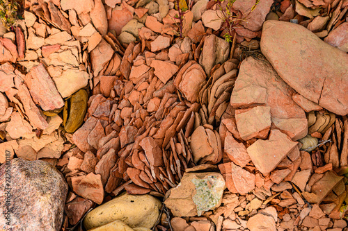 Small irregular shaped stone fragments near body of water previously submerged.