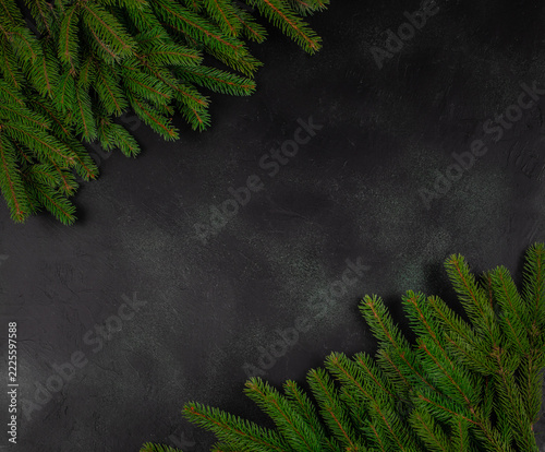 Evergreen conifer branches framing a dark textured background with open central space for seasonal designs and botanical compositions