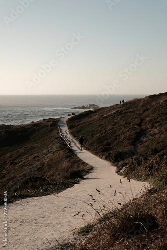 Winding coastal path along dramatic cliffside with ocean view at dusk, Patagonia Argentina moody travel and hiking concept