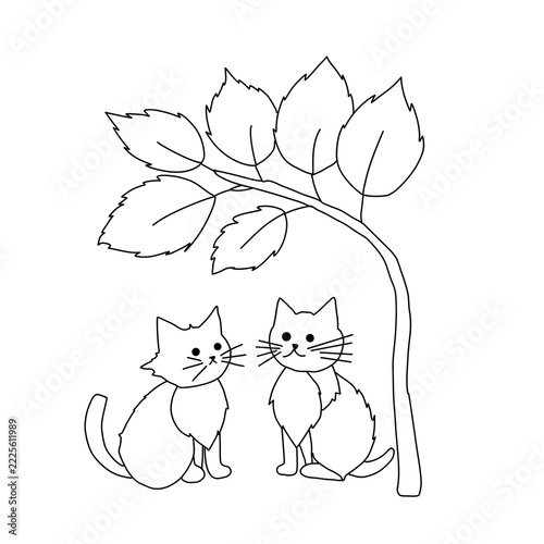 cat and mouse