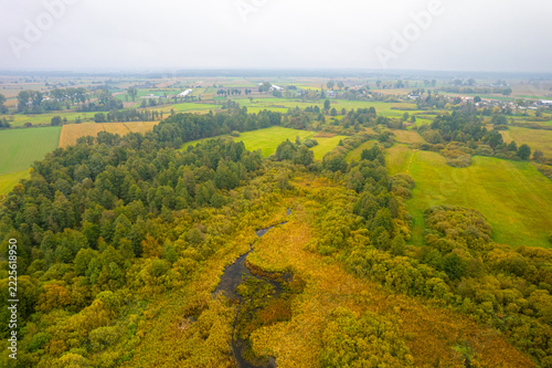 Aerial view of a meandering stream flowing through green meadows and forest