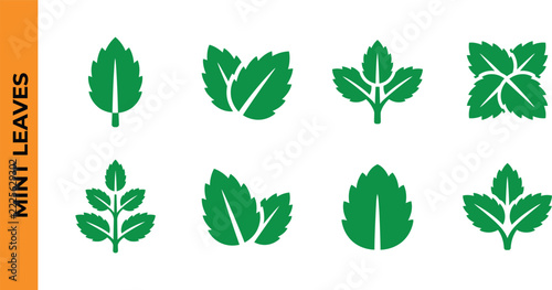 Collection of vibrant green mint leaves in various shapes and arrangements