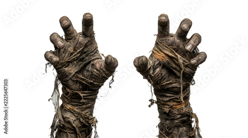 Close-up of two hands with dried herbs or spices making peace sign gesture