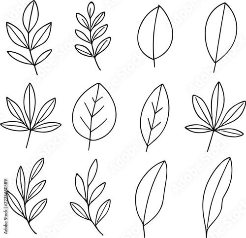 Botanical leaves collection