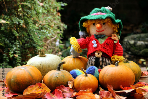 scarecrow and pumpkins