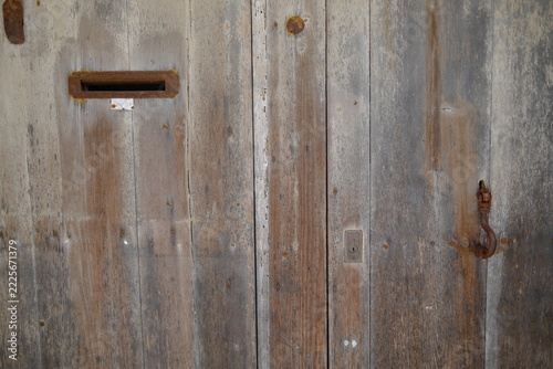 Architectural Door with Distinctive Design, Color and Decorative Details