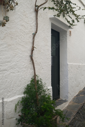 Architectural Door with Distinctive Design, Color and Decorative Details