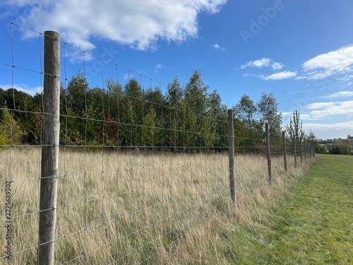 Wire mesh fence borders a dry meadow beneath a wide blue sky with clouds and trees