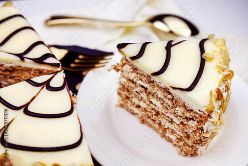 Traditional Hungarian Esterhazy cake with web decoration on the plate