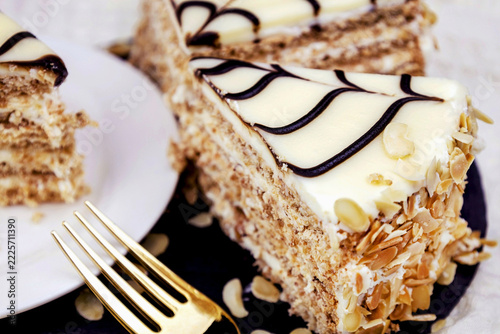 Traditional Hungarian Esterhazy cake with web decoration on the plate