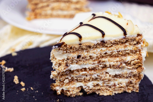 Traditional Hungarian Esterhazy cake with web decoration on the plate