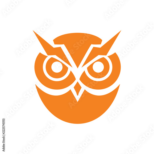 Storm Owl or electrical owl logo icon VEctor